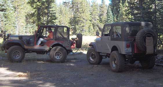 Jeeps in the forest
